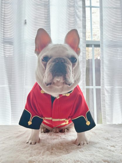 Pet Nutcracker Soldier Costume