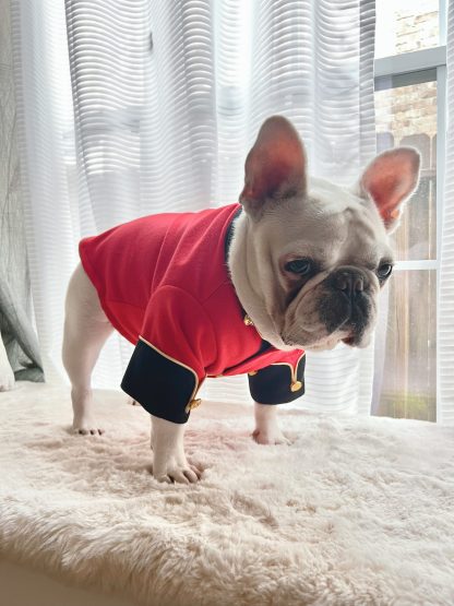 Pet Nutcracker Soldier Costume - Image 2