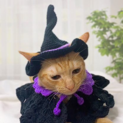 Pet Halloween Costumes - Image 6
