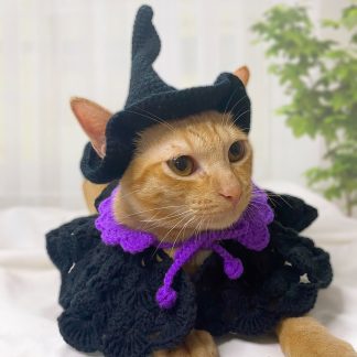 Pet Halloween Costumes