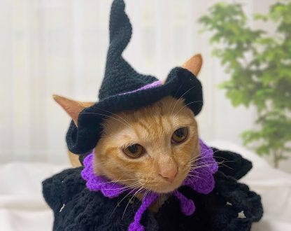 Pet Halloween Costumes - Image 3