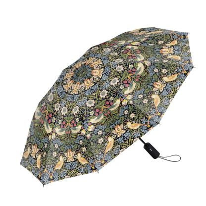 Morris style umbrella for sunny and rainy days - Image 5