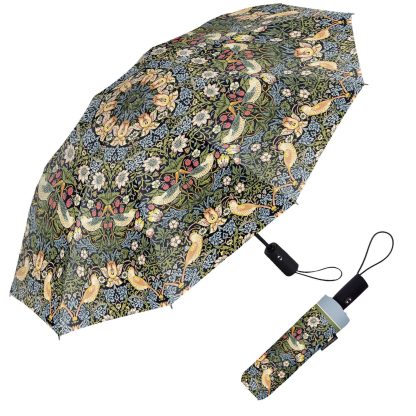 Morris style umbrella for sunny and rainy days - Image 4