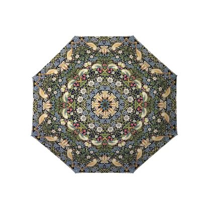 Morris style umbrella for sunny and rainy days