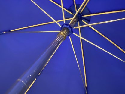 French court style satin long umbrella - Image 10