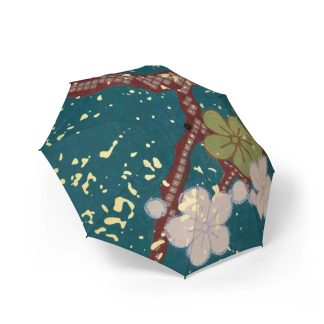 Japanese style poetic umbrella for sunny and rainy days