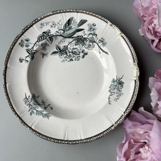 Elegant green porcelain plate with flower and bird pattern and gold rim