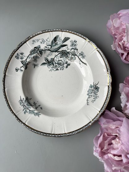 Elegant green porcelain plate with flower and bird pattern and gold rim
