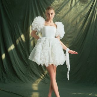 French Palace Style Puff Sleeve Dress