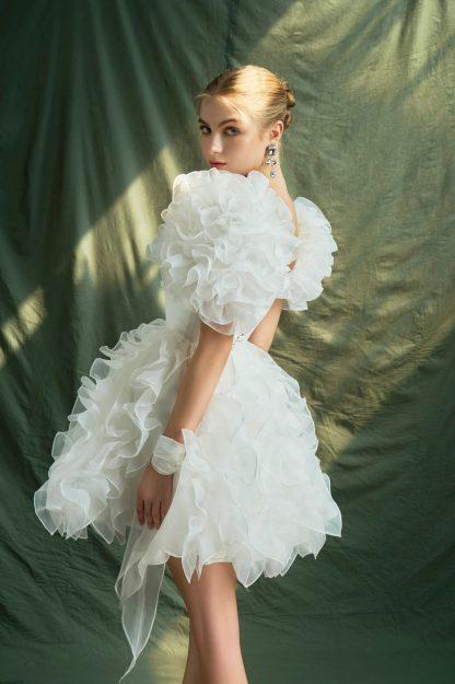 French Palace Style Puff Sleeve Dress - Image 3
