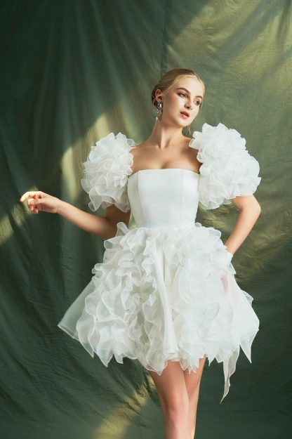 French Palace Style Puff Sleeve Dress - Image 2