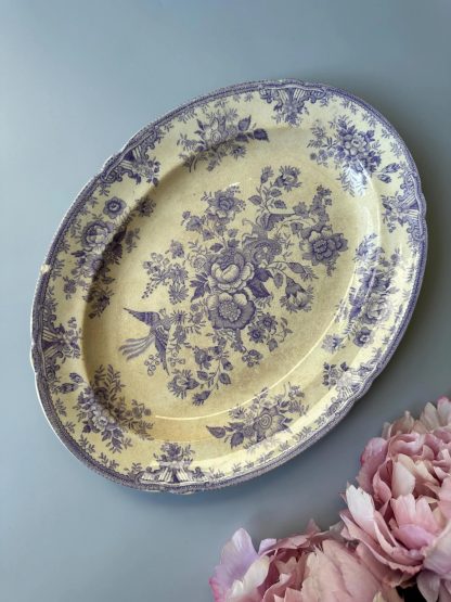 Vintage blue flower and bird oval dinner plate