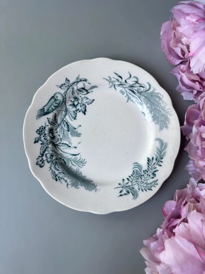Vintage green flower and bird pattern dinner plate