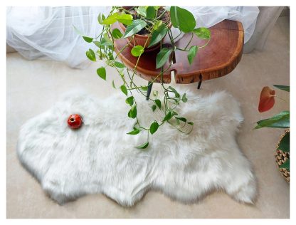 Luxurious plush carpet