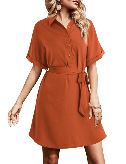 Vintage shirt-style tie waist dress