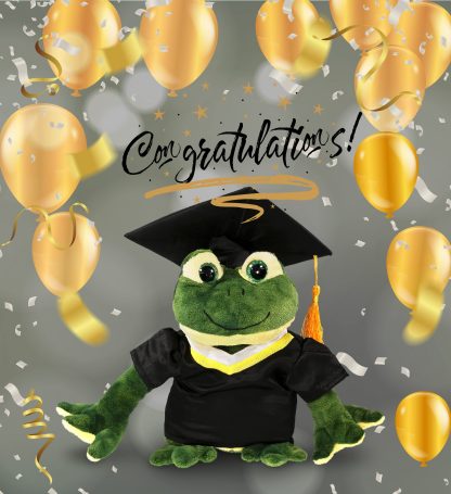 Graduation commemorative frog plush toy - Image 4