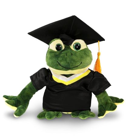 Graduation commemorative frog plush toy