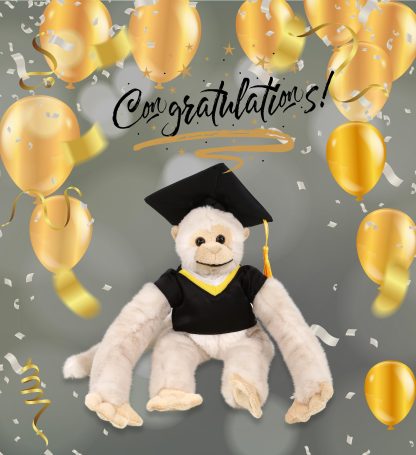 Graduation commemorative gibbon plush toy - Image 4