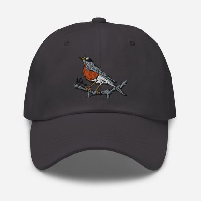 Robin embroidered baseball cap