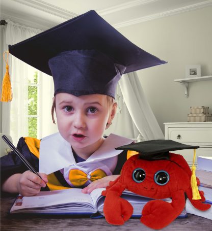 Graduation commemorative red crab plush toy - Image 5