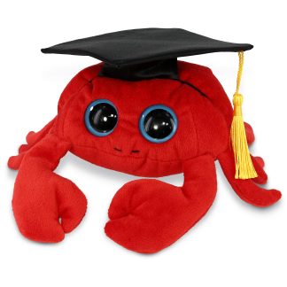 Graduation commemorative red crab plush toy
