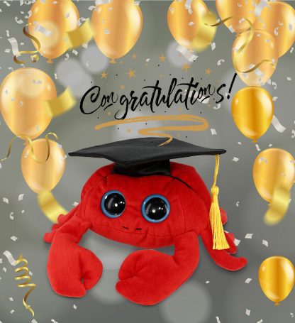 Graduation commemorative red crab plush toy - Image 2