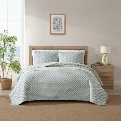 Light blue printed three-piece bed cover set