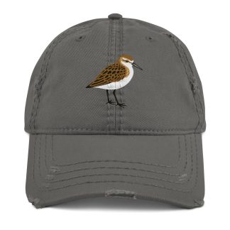 Distressed embroidered waterbird baseball cap