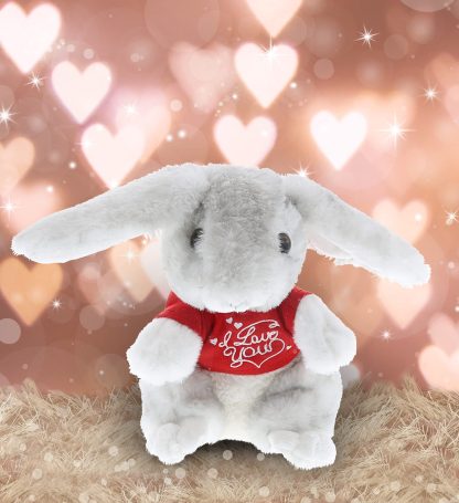 Love Rabbit Plush Toy - Image 4