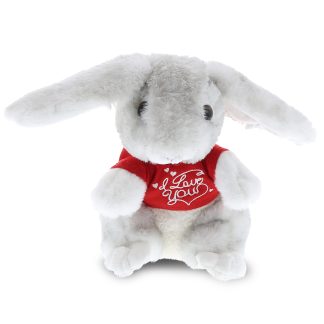 Love Rabbit Plush Toy