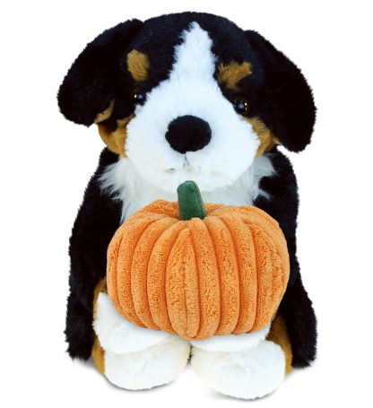 Cute puppy holding pumpkin plush toy