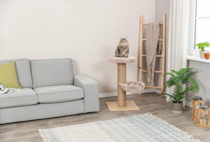 Simple double-layer comfortable cat climbing frame - Image 6