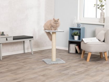 Simple Sisal Cat Scratching Post Climbing Frame - Image 5