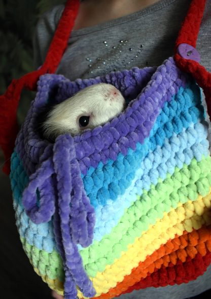 Rainbow Sugar Falls Knitted Pet Bag - Image 10