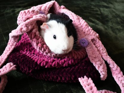 Pink and purple gradient knitted pet bag - Image 4