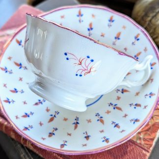 Soft powder blue bone china cup and saucer set