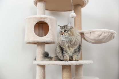 Super Deluxe Happy Planet Multi-layer Cat Climbing Frame - Image 3