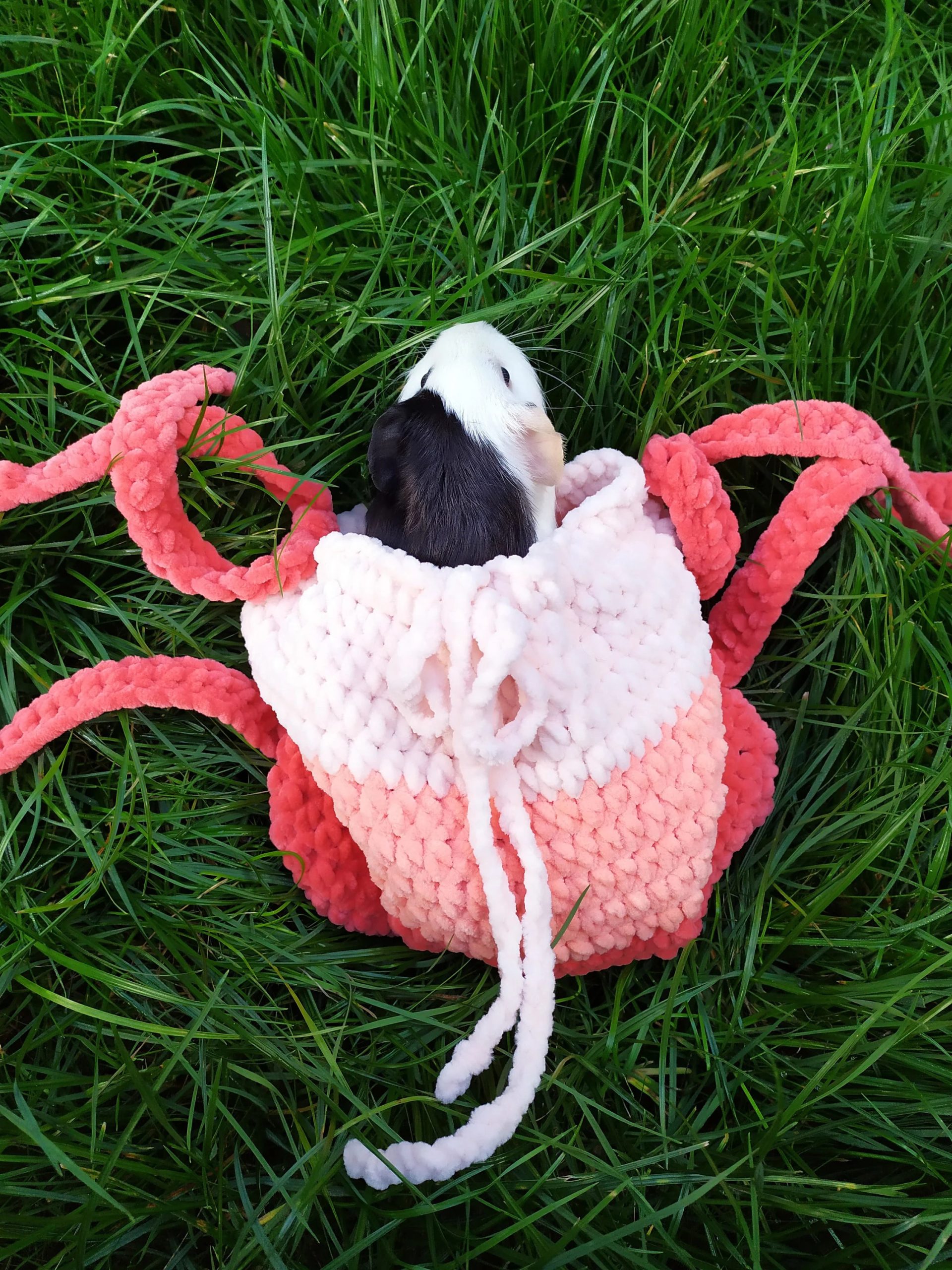 Peach Sweetheart Soft Knitted Pet Bag