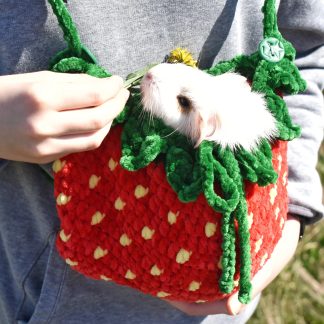 Strawberry Crit Knitted Pet Bag