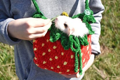 Strawberry Crit Knitted Pet Bag - Image 8