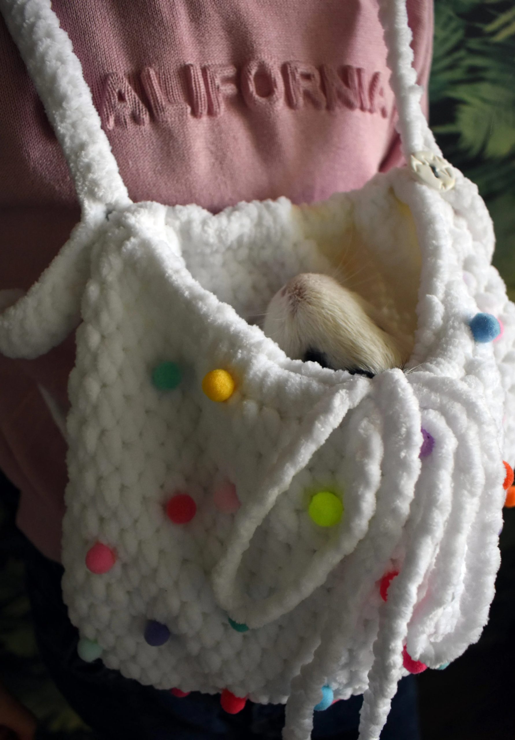 Rainbow Candy Knitted Pet Bag - Image 3