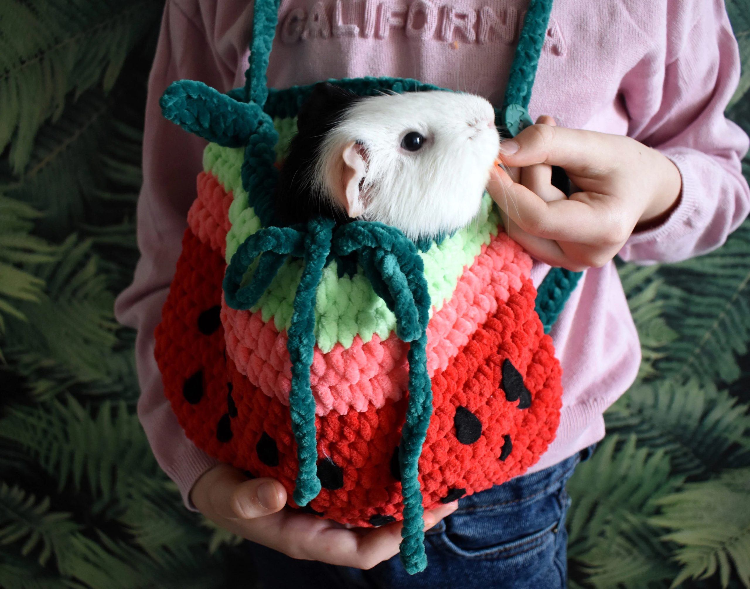 Watermelon Cool Knitted Pet Bag