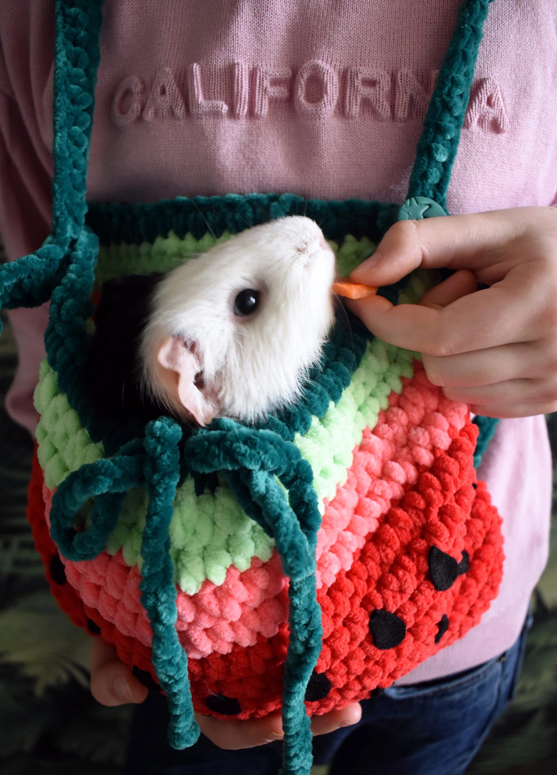 Watermelon Cool Knitted Pet Bag - Image 6