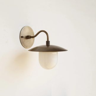 Brass gooseneck lamp