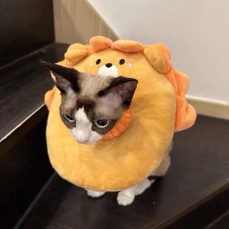 Adorable little lion cat costume