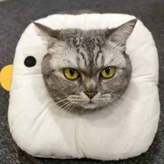 Adorable white goose baby kitten wrap-up outfit