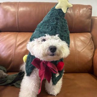 Christmas Limited Edition Christmas Tree Pet Outfit