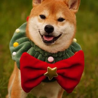 Christmas Limited Edition Shiba Inu Fleece Collar