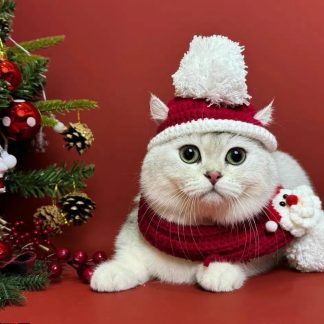 Christmas Red Crochet Cat Hat Set