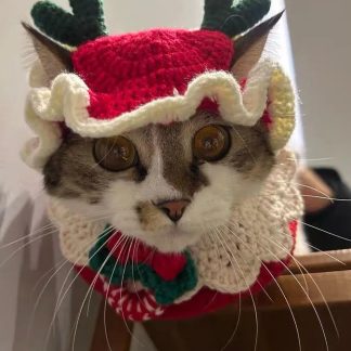 Christmas Reindeer Crochet Cat Hat Set